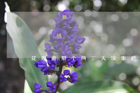 花呗逾期个两三天没事吧 花呗逾期个两三天没事吧