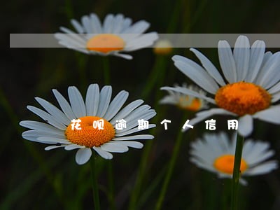 花呗逾期个人信用 花呗逾期个人信用