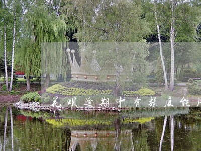花呗逾期中有额度能用吗 花呗逾期中有额度能用吗