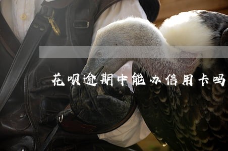 花呗逾期中能办信用卡吗 花呗逾期中能办信用卡吗