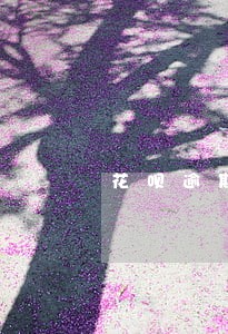 花呗逾期中还能在哪里分期手机 花呗逾期中还能在哪里分期手机