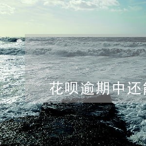 花呗逾期中还能开信用卡吗