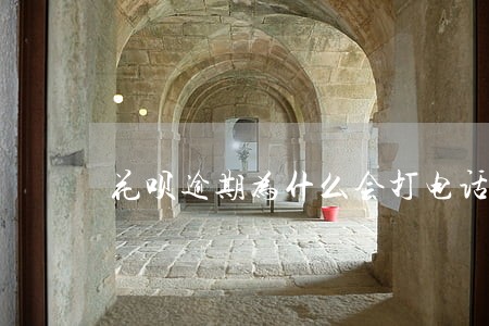 花呗逾期为什么会打电话给我