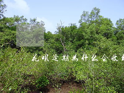 花呗逾期为什么会收到快递 花呗逾期为什么会收到快递
