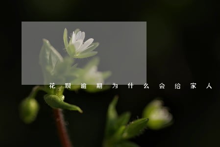 花呗逾期为什么会给家人打电话