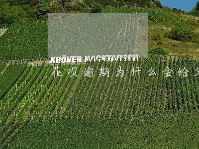 花呗逾期为什么会给父母打电话 花呗逾期为什么会给父母打电话