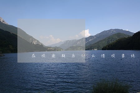 花呗逾期为什么借呗要终止合同 花呗逾期为什么借呗要终止合同