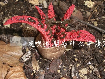 花呗逾期为什么申请不了信用卡