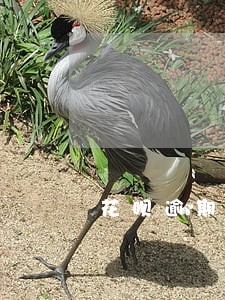 花呗逾期为什么给邻居打电话