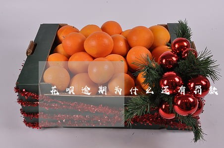 花呗逾期为什么还有罚款 花呗逾期为什么还有罚款