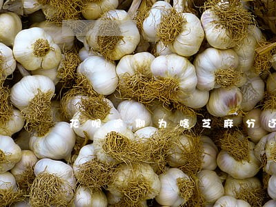 花呗逾期为啥芝麻分还涨 花呗逾期为啥芝麻分还涨