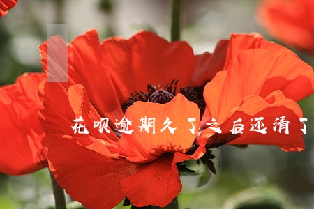 花呗逾期久了之后还清了 花呗逾期久了之后还清了