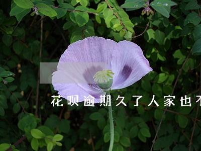 花呗逾期久了人家也不打电话催了 花呗逾期久了人家也不打电话催了