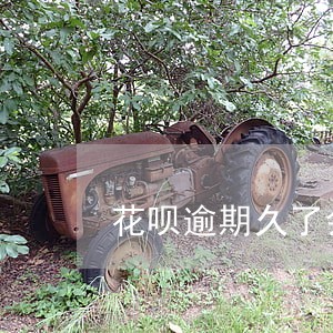 花呗逾期久了会受法律责任吗 花呗逾期久了会受法律责任吗