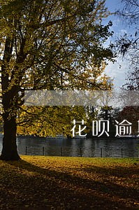 花呗逾期久了有短信 花呗逾期久了有短信