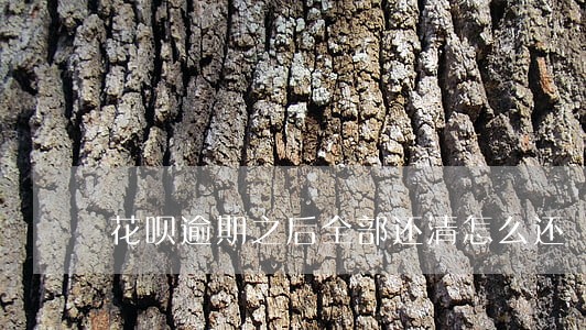 花呗逾期之后全部还清怎么还 花呗逾期之后全部还清怎么还