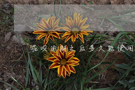 花呗逾期之后多久能使用备用金 花呗逾期之后多久能使用备用金