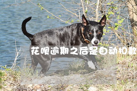 花呗逾期之后是自动扣款吗 花呗逾期之后是自动扣款吗