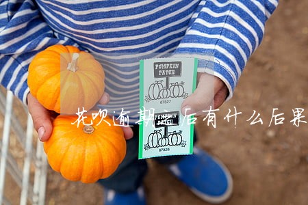 花呗逾期之后有什么后果是什么 花呗逾期之后有什么后果是什么