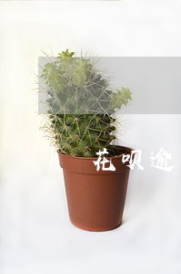 花呗逾期之后还是按多少利息算 花呗逾期之后还是按多少利息算
