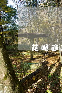 花呗逾期之后还清还能用吗 花呗逾期之后还清还能用吗