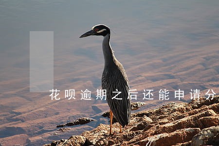 花呗逾期之后还能申请分期还款吗 花呗逾期之后还能申请分期还款吗