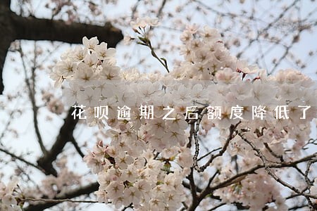 花呗逾期之后额度降低了 花呗逾期之后额度降低了