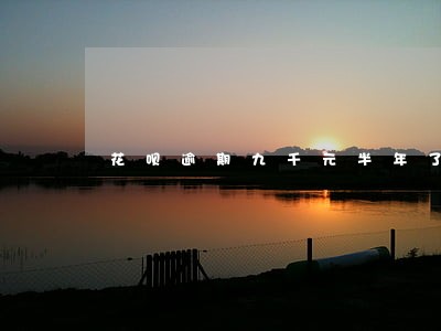 花呗逾期九千元半年了会怎样