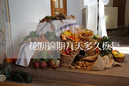 花呗逾期九天多久恢复 花呗逾期九天多久恢复