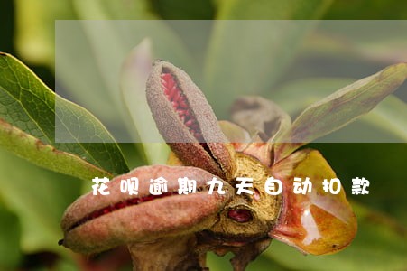 花呗逾期九天自动扣款 花呗逾期九天自动扣款