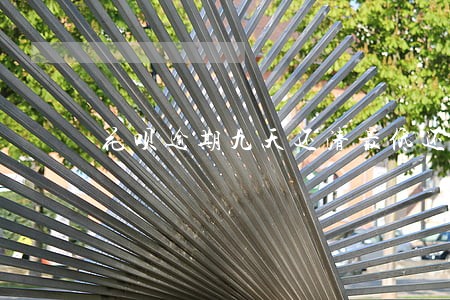 花呗逾期九天还清最低还款 花呗逾期九天还清最低还款