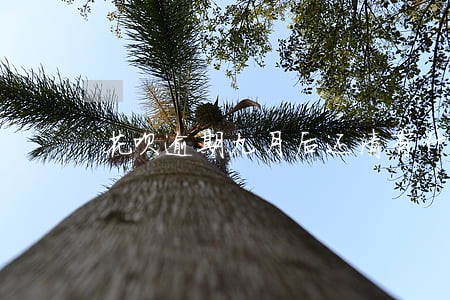 花呗逾期九月后还清有什么后果 花呗逾期九月后还清有什么后果