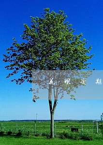 花呗逾期买房可以分期吗 花呗逾期买房可以分期吗