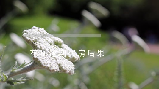 花呗逾期买房后果 花呗逾期买房后果