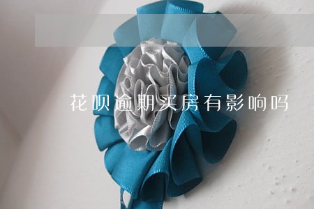 花呗逾期买房有影响吗 花呗逾期买房有影响吗