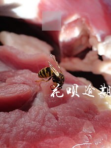 花呗逾期买房能分期吗 花呗逾期买房能分期吗