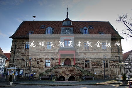 花呗逾期买车做金融按揭能通过吗 花呗逾期买车做金融按揭能通过吗