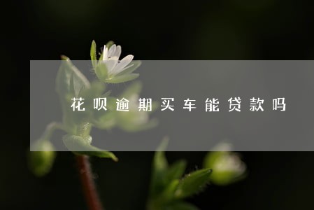 花呗逾期买车能贷款吗