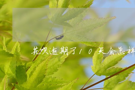 花呗逾期了10天会怎样 花呗逾期了10天会怎样