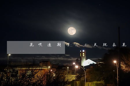 花呗逾期了10天现在花呗冻结了 花呗逾期了10天现在花呗冻结了