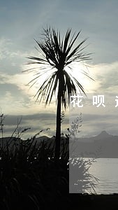 花呗逾期了35天还能恢复使用 花呗逾期了35天还能恢复使用