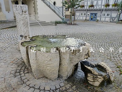 花呗逾期了3天会不会上征信 花呗逾期了3天会不会上征信