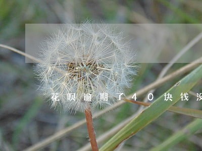 花呗逾期了40块钱没事吧 花呗逾期了40块钱没事吧