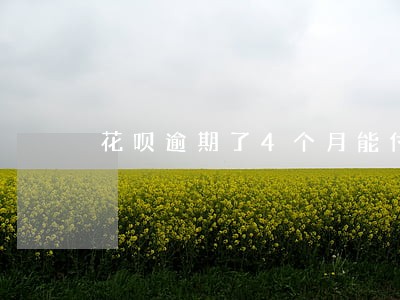花呗逾期了4个月能付款吗 花呗逾期了4个月能付款吗