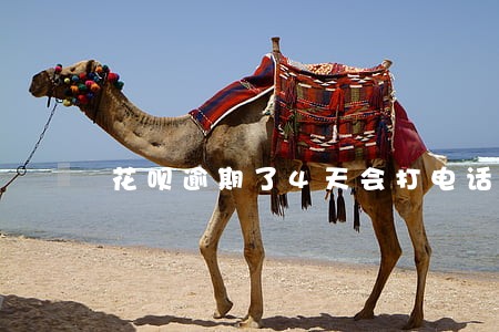 花呗逾期了4天会打电话嘛 花呗逾期了4天会打电话嘛