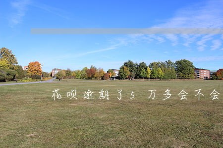 花呗逾期了5万多会不会上门