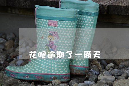 花呗逾期了一两天 花呗逾期了一两天