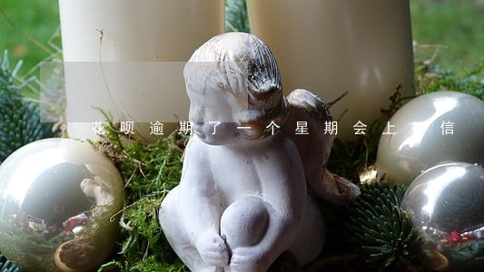 花呗逾期了一个星期会上征信 花呗逾期了一个星期会上征信