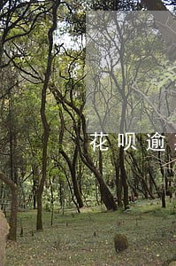 花呗逾期了一个月会怎么样 花呗逾期了一个月会怎么样