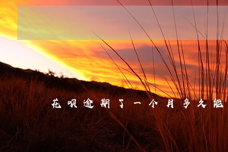 花呗逾期了一个月多久能恢复正常 花呗逾期了一个月多久能恢复正常